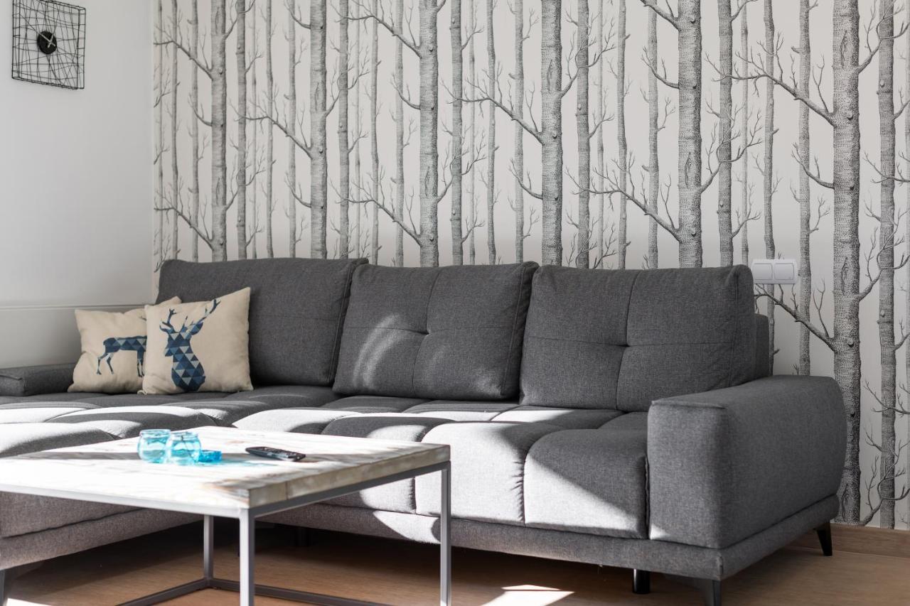 Apartament Scandinavia Закопане Экстерьер фото